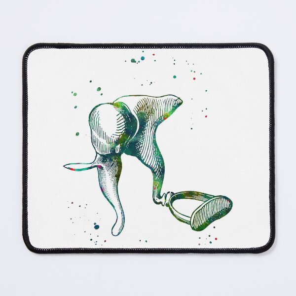 Item preview, Middle Ear Anatomy designed and sold by EvasDreams.
