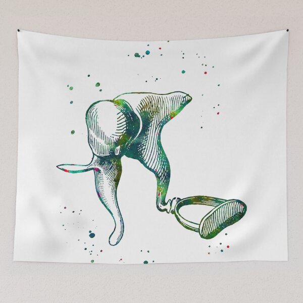 Item preview, Middle Ear Anatomy designed and sold by EvasDreams.