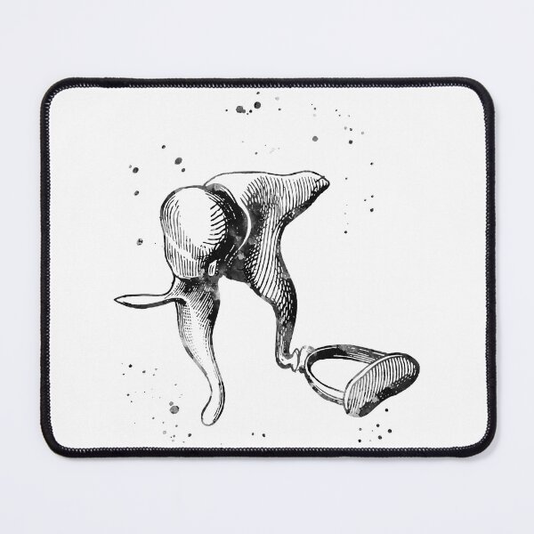 Item preview, Middle Ear Anatomy designed and sold by EvasDreams.