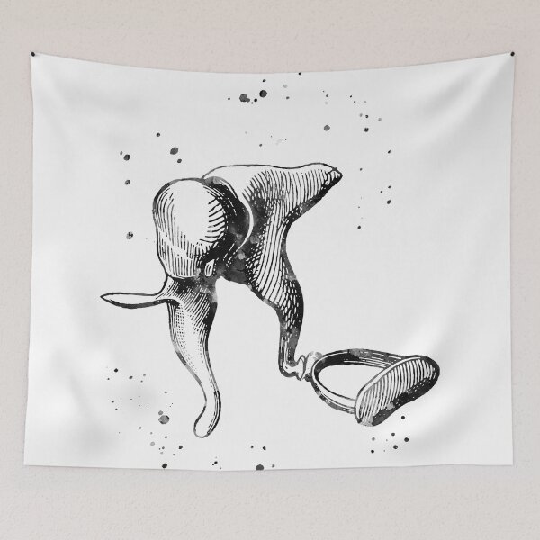 Item preview, Middle Ear Anatomy designed and sold by EvasDreams.