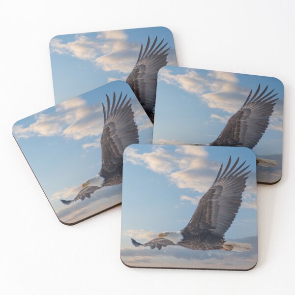 Item preview, Eagle in flight designed and sold by Greg Birkett.