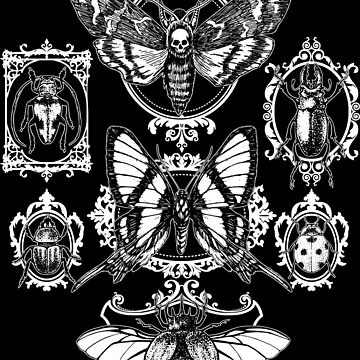 Artwork thumbnail, Gothic Insect Collection by RavenWake