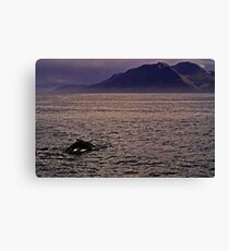 Tranquillity Canvas Print