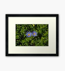 Twins Framed Print