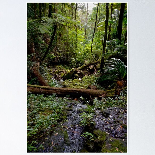 Item preview, Rainforest Tranquility designed and sold by Vicki Johnson.