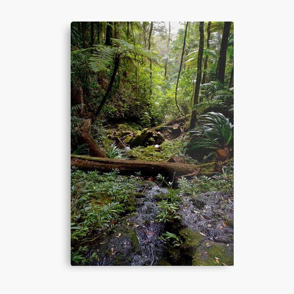 Item preview, Rainforest Tranquility designed and sold by Vicki Johnson.