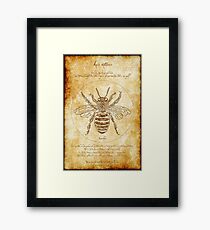 Vitruvian Bee Poster for Gardeners and BeeKeepers Framed Print