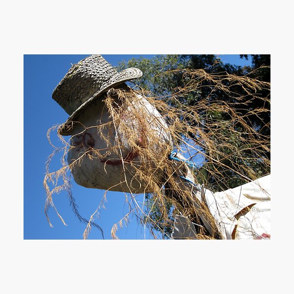 Mr Oinx Photographic Print