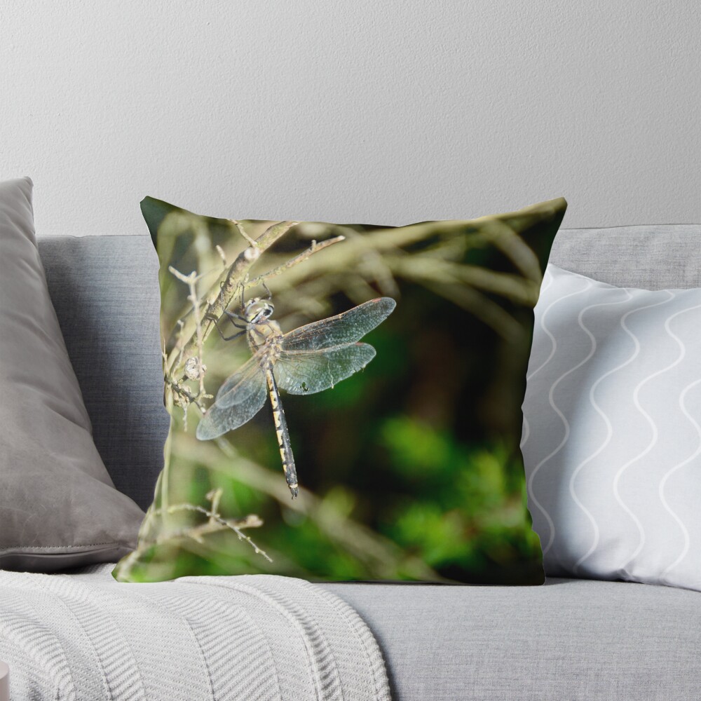 Item preview, Throw Pillow designed and sold by fenwickstud.