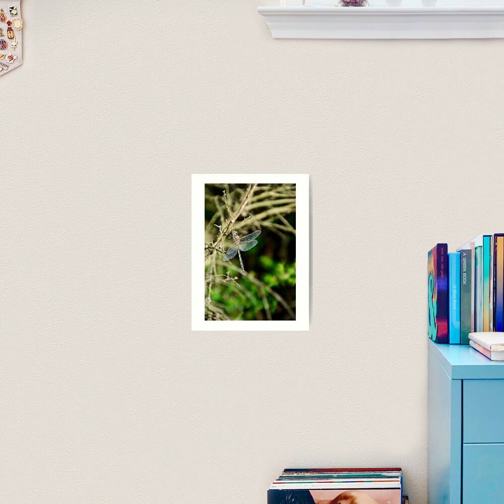Item preview, Art Print designed and sold by fenwickstud.