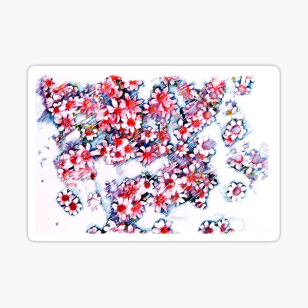 Pink Daisies Sticker