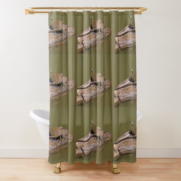 Red-eared Slider Turtle Shower Curtain for Sale by CarolM