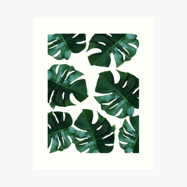 Item preview, Monstera exotica designed and sold by Gale Switzer.