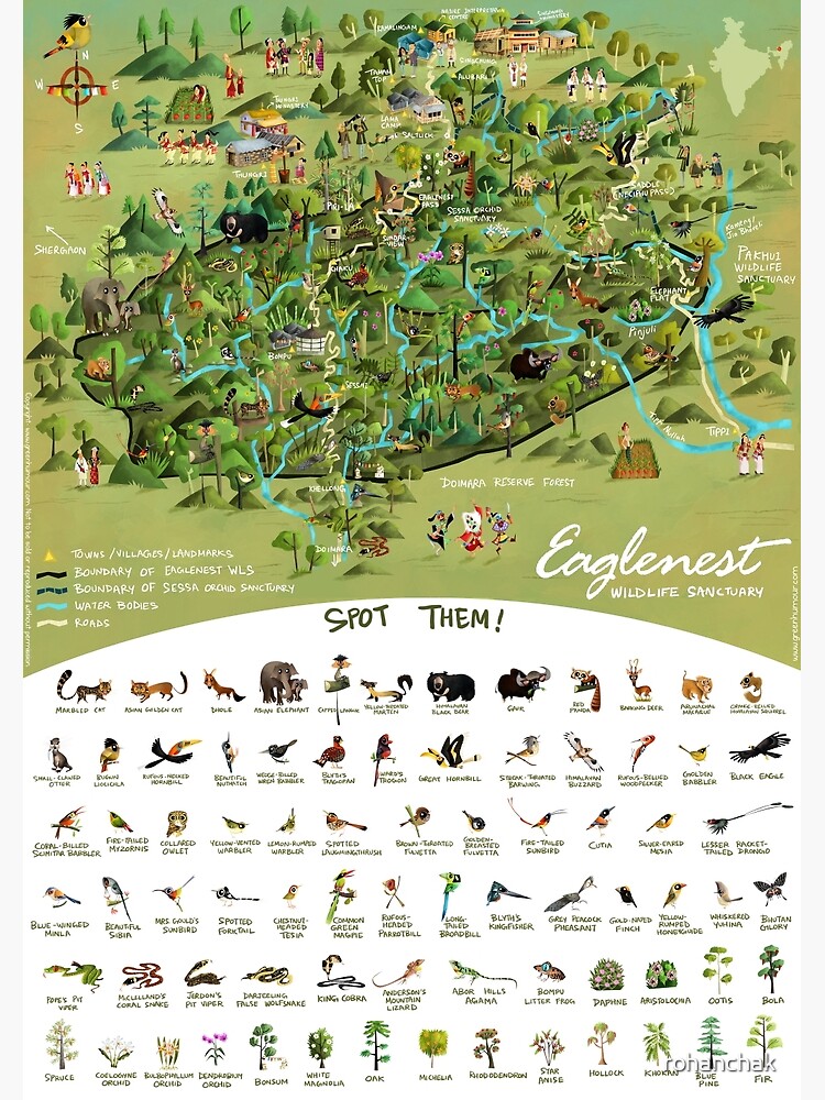 "Eaglenest Wildlife Sanctuary- An Illustrated Map" Photographic Print ...