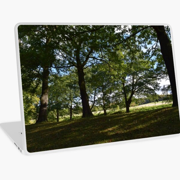 View from the Avenue Laptop Skin