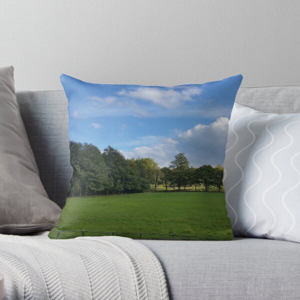 View from the Avenue Throw Pillow