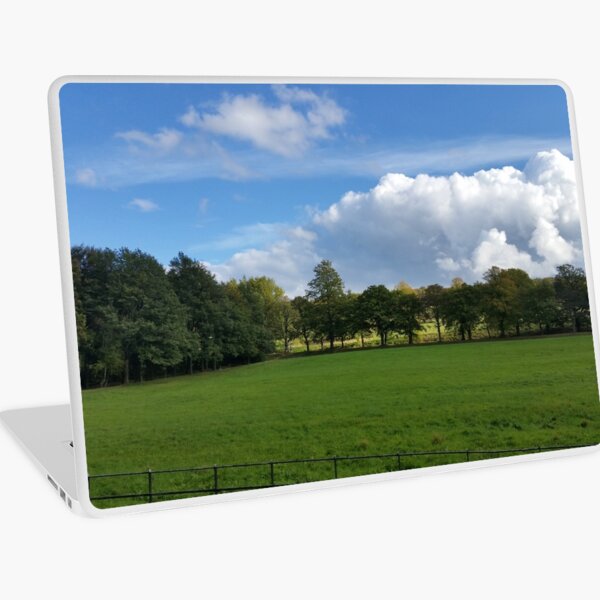 View from the Avenue Laptop Skin