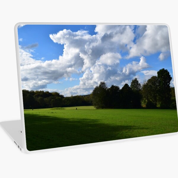 View from the Avenue Laptop Skin