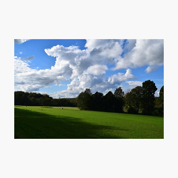 View from the Avenue Photographic Print