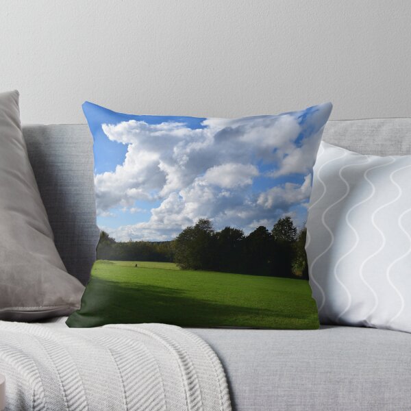 View from the Avenue Throw Pillow