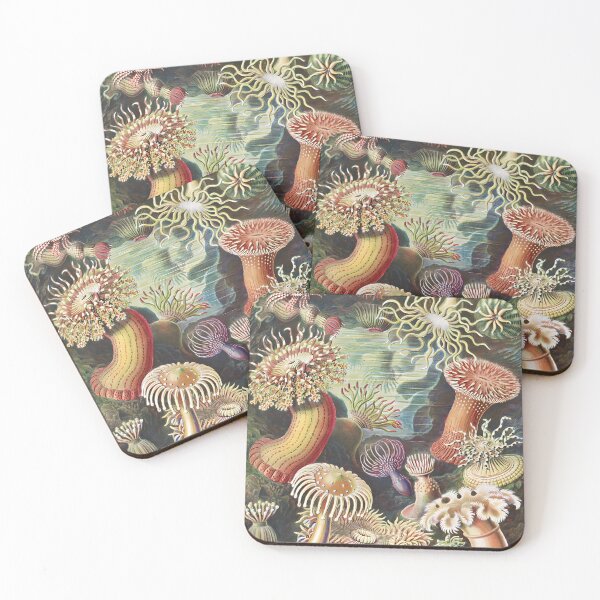 Item preview, Sea Anemones - Ernst Haeckel designed and sold by starrylite.