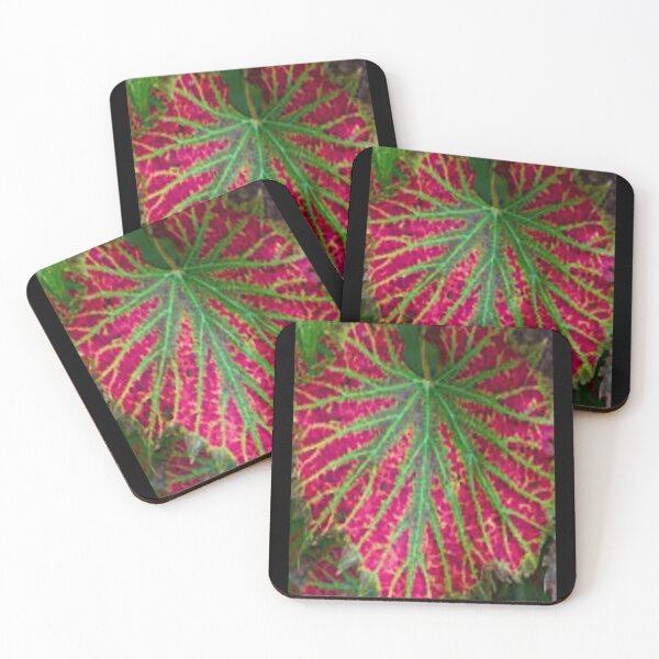 Item preview, varigated fig leaves designed and sold by contractingsdsd.