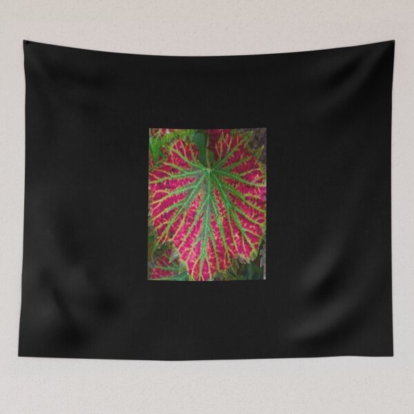 Item preview, varigated fig leaves designed and sold by contractingsdsd.