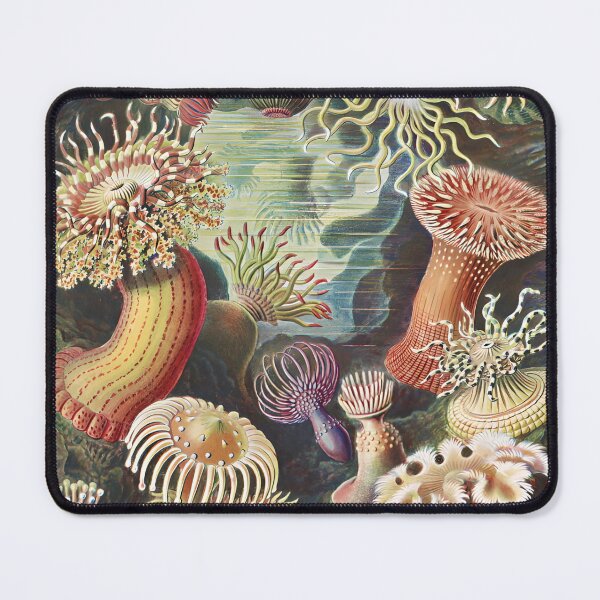 Item preview, Sea Anemones - Ernst Haeckel designed and sold by starrylite.