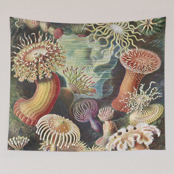 Item preview, Sea Anemones - Ernst Haeckel designed and sold by starrylite.