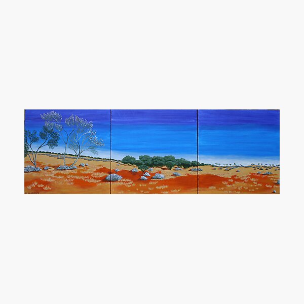 OUTBACK VISTA TRIPTYCH (AUSTRALIA) Photographic Print