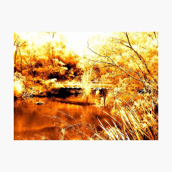The Same Deep Water As You Photographic Print