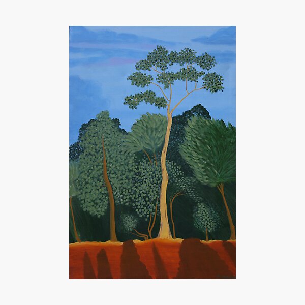 LATE SHADOWS (OUTBACK AUSTRALIA) Photographic Print