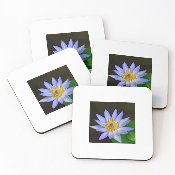 Item preview, Water Lily designed and sold by LOJIQ.