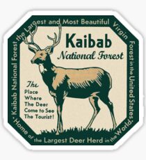 Kaibab National Forest Arizona Vintage Travel Decal Sticker