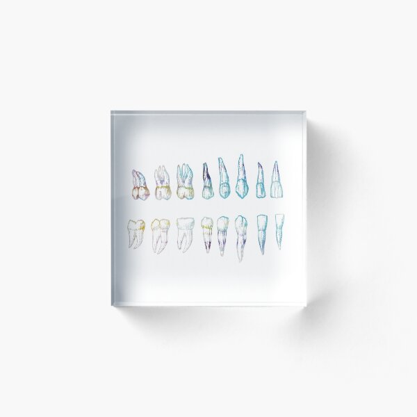 Teeth Blue Acrylic Block