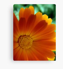 flower Canvas Print