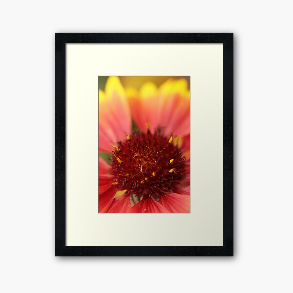Solar Eruption Framed Art Print