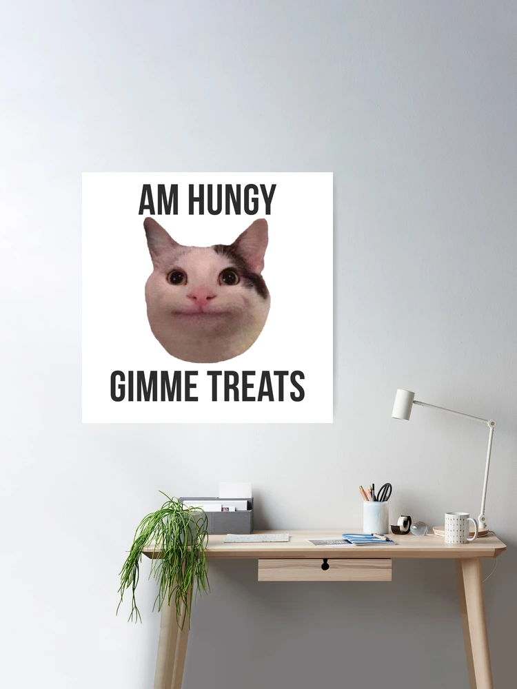 Beluga cat memes playlist for if I am bored 
