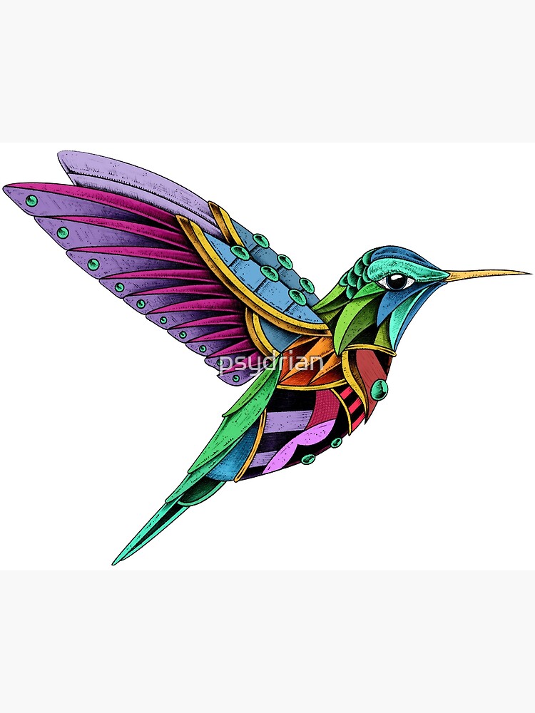 Hummingbird Vol. 2