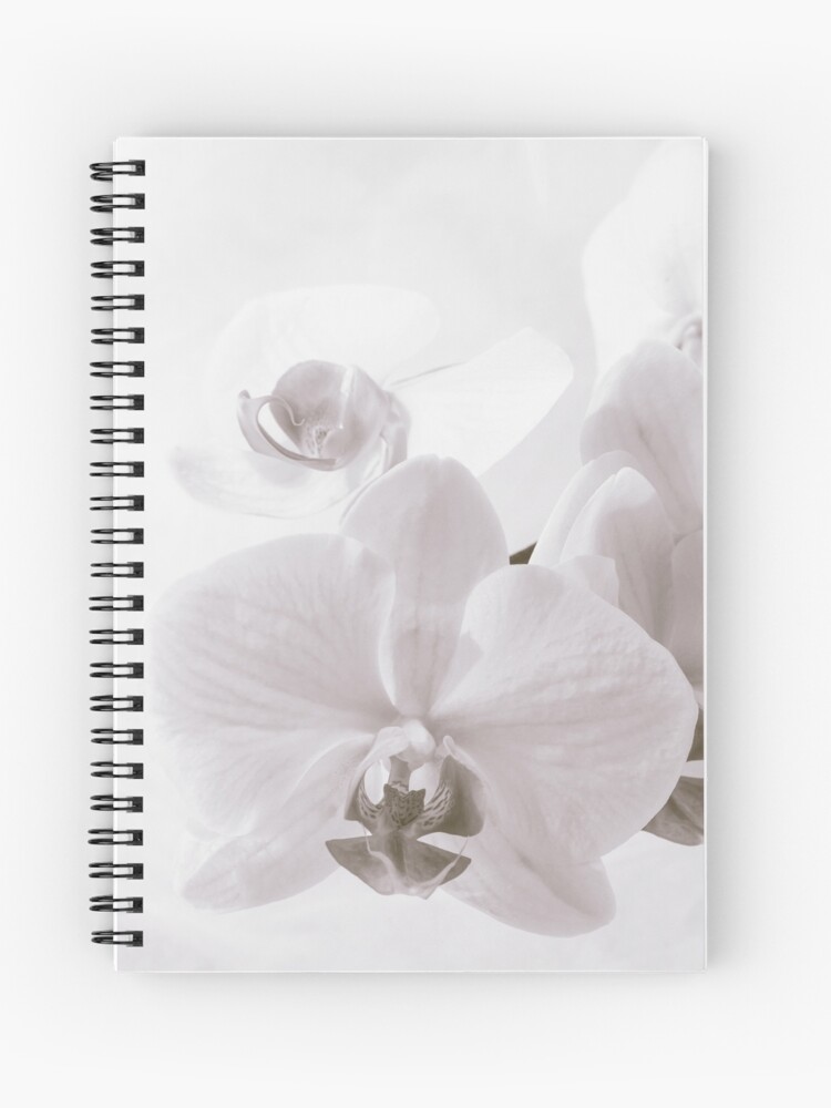 White Orchid Flower Spiral Notebook By Cinema4design Redbubble