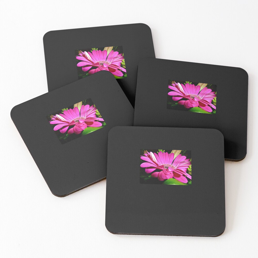 Item preview, Coasters (Set of 4) designed and sold by raidscdabne.