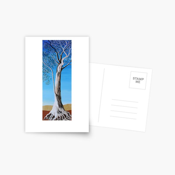 RIVER RED GUM (AUSTRALIAN OUTBACK) Postcard