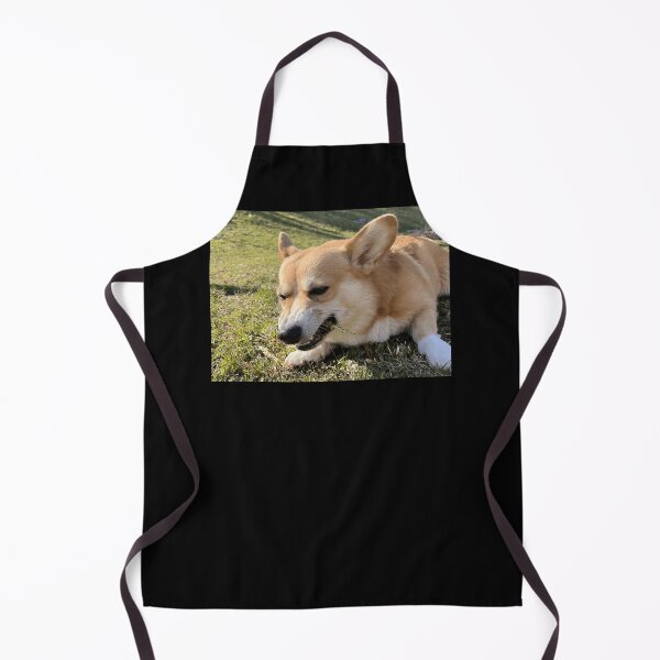 Item preview, A hungry corgi designed and sold by MARCOdvcdsx.