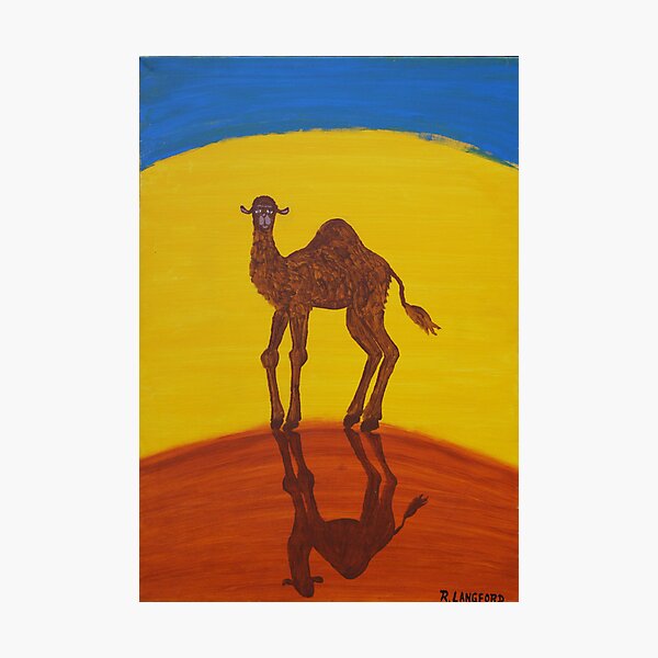 FUNKY CAMEL (OUTBACK AUSTRALIA) Photographic Print