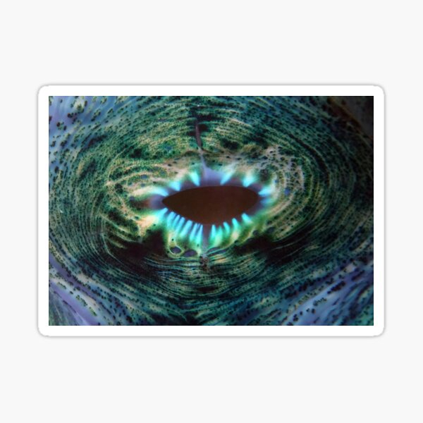 Clam Sticker