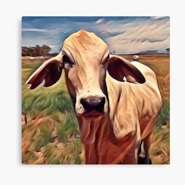 Item preview, Cow Country - For Cattle Lovers - Cattle Lover Design designed and sold by CraftyAnimal.