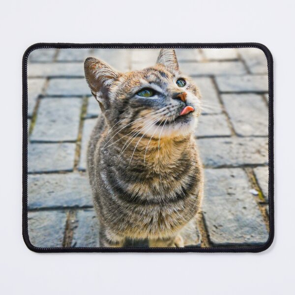 Item preview, Cute wild  tabby cat with a green eyes  designed and sold by anisbbmbrush.
