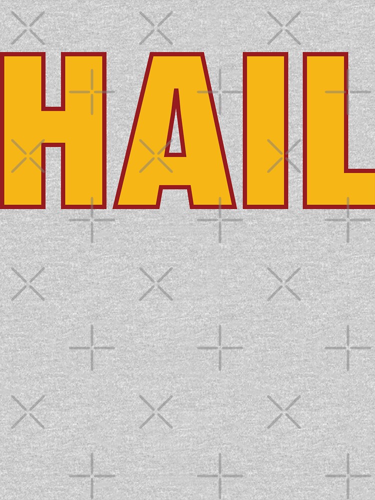 HAIL HTTR Washington DC Football by AiReal Apparel Essential T-Shirt for  Sale by airealapparel