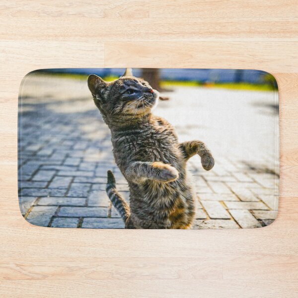 Item preview, Funny and cute  wild  tabby cat with a green eyes stand on two legs  designed and sold by anisbbmbrush.