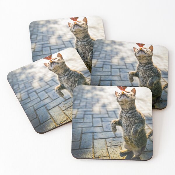 Item preview, Funny and cool cat stand on two legs for eating  designed and sold by anisbbmbrush.
